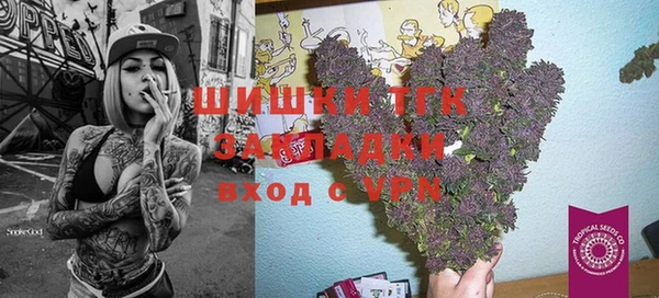 твердый Богородск