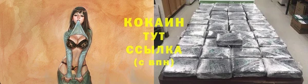 дмт Богородицк