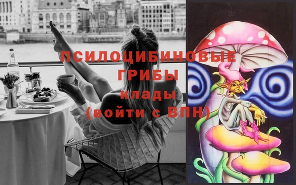 дмт Богородицк