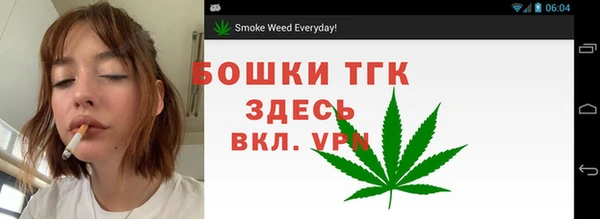 дмт Богородицк