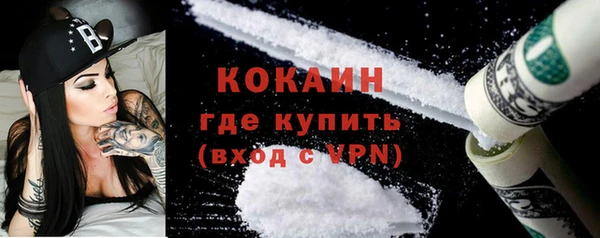 твердый Богородск