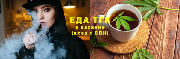 дмт Богородицк