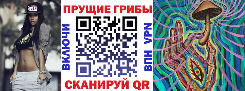 цена наркотик  Котельниково  ОМГ ОМГ как зайти  Псилоцибиновые грибы Magic Shrooms 